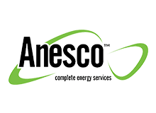 Anesco Logo